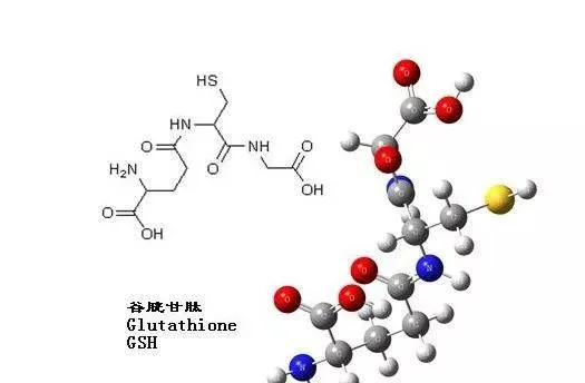 Apa yang harus dielakkan semasa mengambil glutathione?